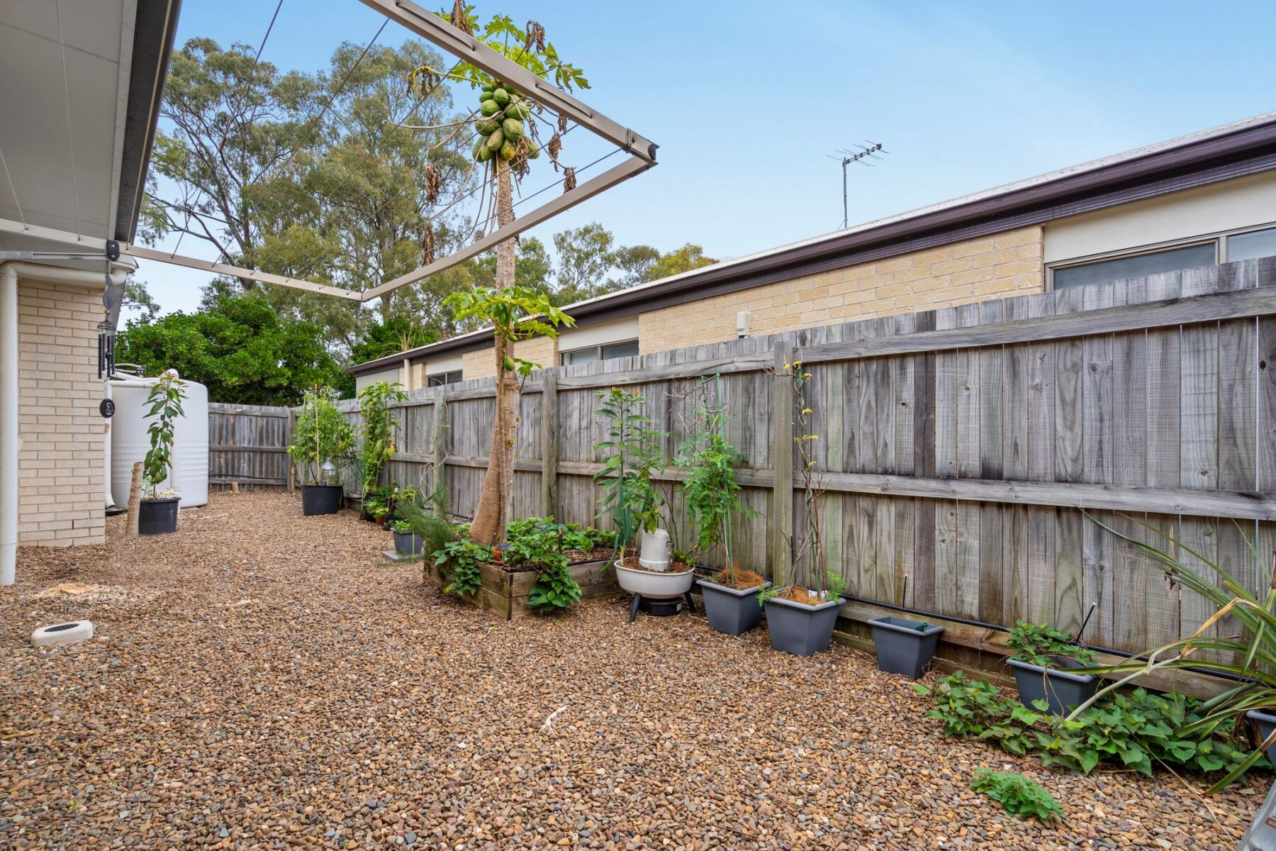 Property: 9 Glorious Promenade, Redbank Plains, QLD, 4301 photo-11