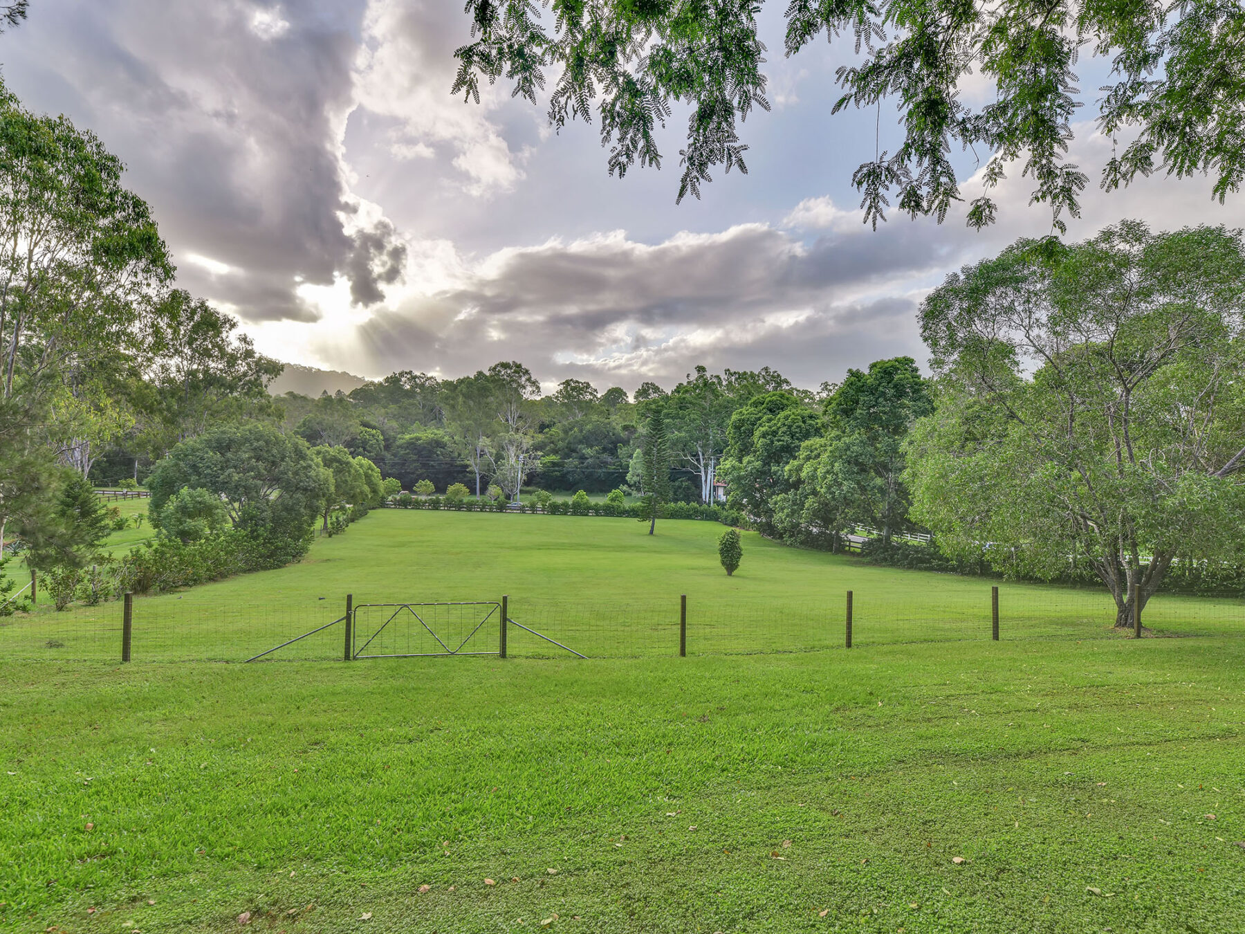 Rental: Kenmore Hills, QLD, 4069 photo-23
