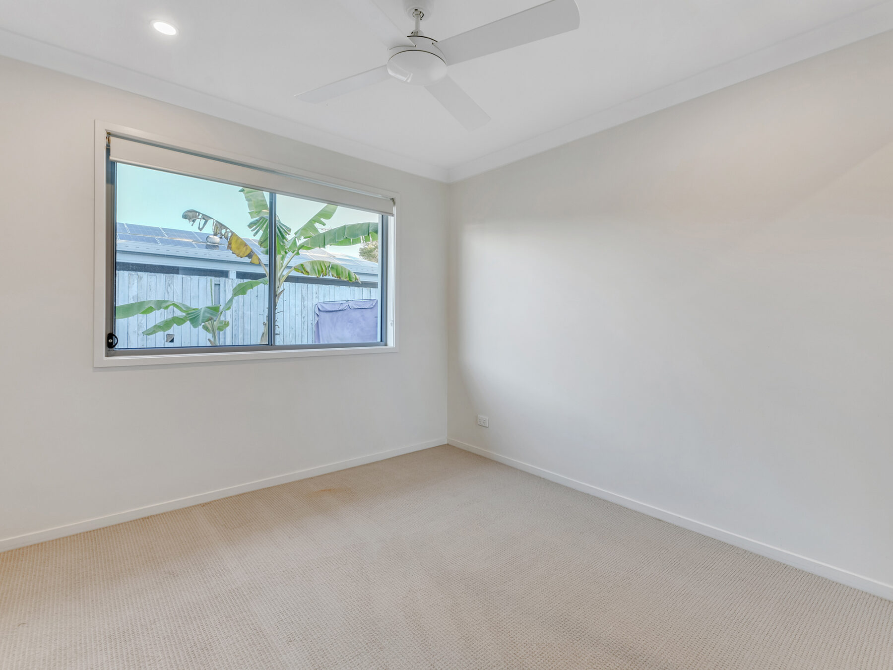 Rental: 2/34 Ada Street, Leichhardt, QLD, 4305 photo-5